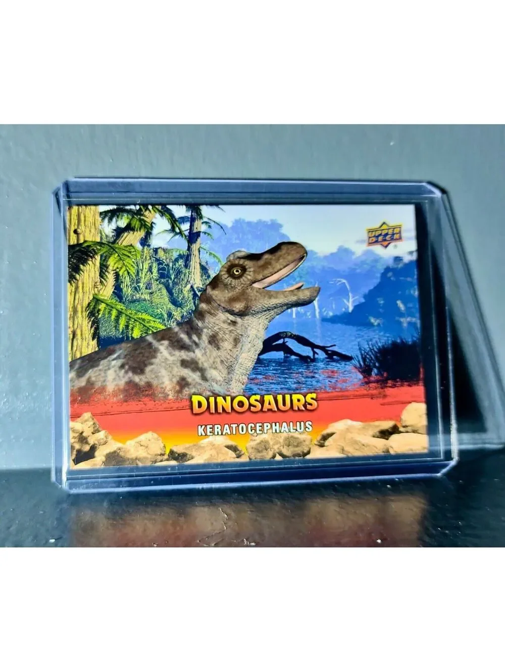 2015 Upper Deck Dinosaurs Keratocephalus Extinction Red Parallel #23 Card